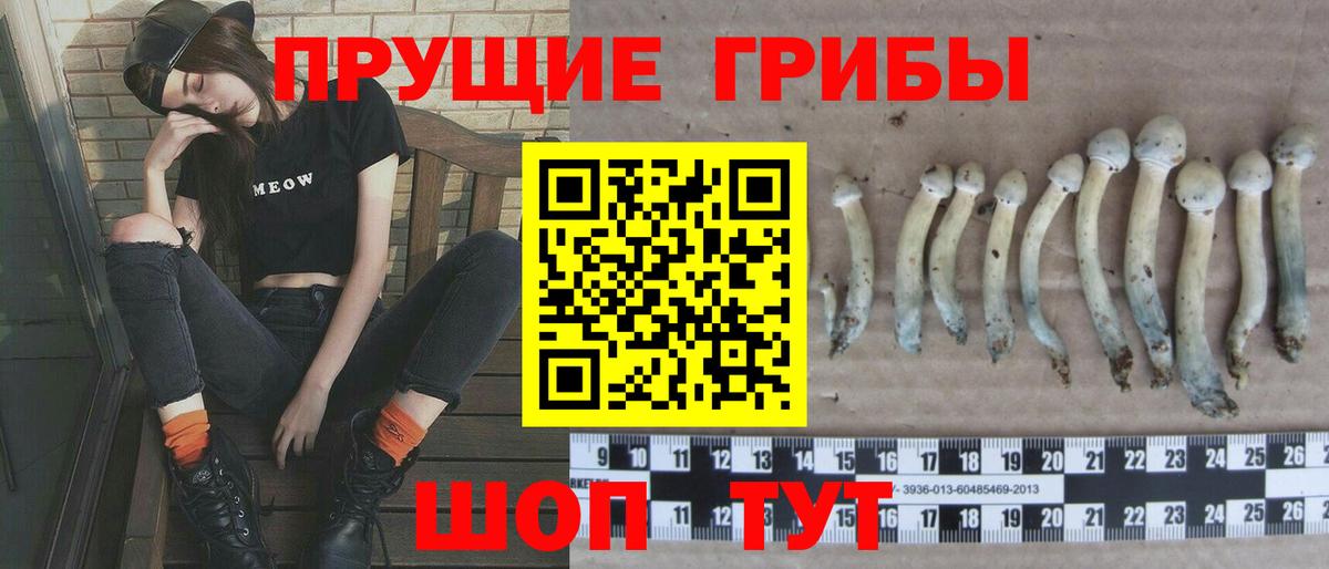 Кузнецк  Псилоцибиновые грибы Psilocybe  Вход с VPN  купить наркотики сайты  Галлюциногенные грибы мухоморы 
